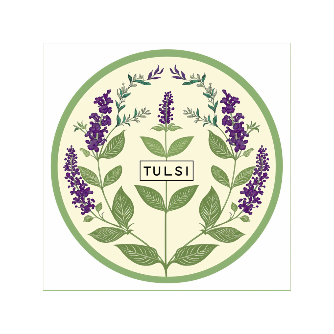 Tulsi tea