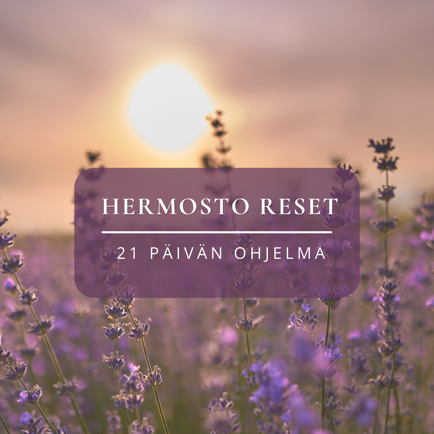 Hermosto Reset – 21 päivän ohjelma