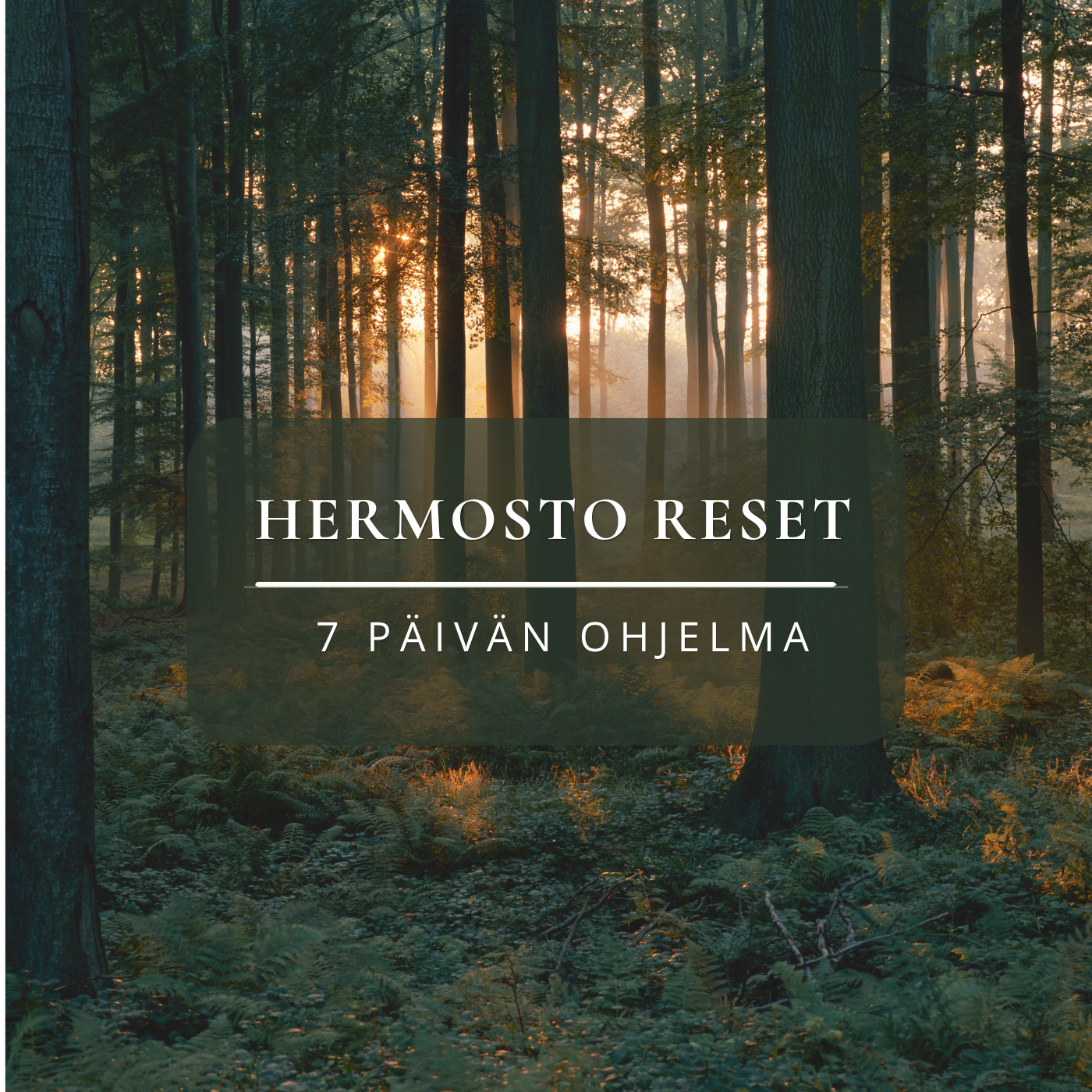 Hermosto Reset Mini - 7 päivän ohjelma